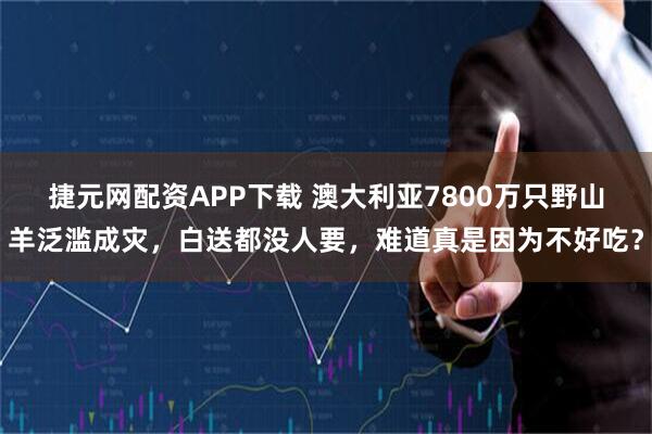 捷元网配资APP下载 澳大利亚7800万只野山羊泛滥成灾，白送都没人要，难道真是因为不好吃？