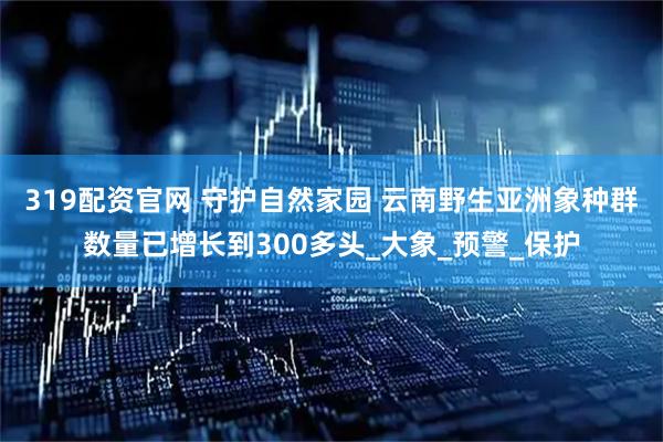 319配资官网 守护自然家园 云南野生亚洲象种群数量已增长到300多头_大象_预警_保护