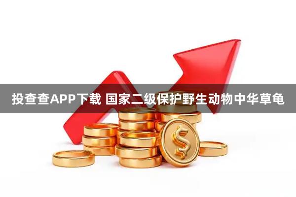 投查查APP下载 国家二级保护野生动物中华草龟