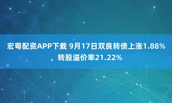 宏粤配资APP下载 9月17日双良转债上涨1.88%，转股溢价率21.22%