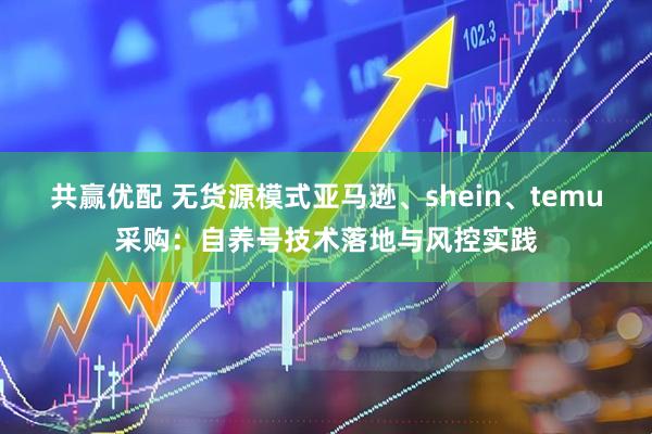 共赢优配 无货源模式亚马逊、shein、temu采购：自养号技术落地与风控实践