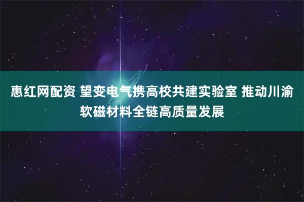 惠红网配资 望变电气携高校共建实验室 推动川渝软磁材料全链高质量发展