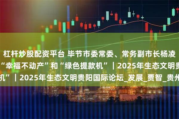 杠杆炒股配资平台 毕节市委常委、常务副市长杨凌志： 绿水青山成为了“幸福不动产”和“绿色提款机”｜2025年生态文明贵阳国际论坛_发展_贾智_贵州