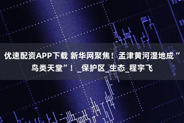 优速配资APP下载 新华网聚焦！孟津黄河湿地成“鸟类天堂”！_保护区_生态_程宇飞